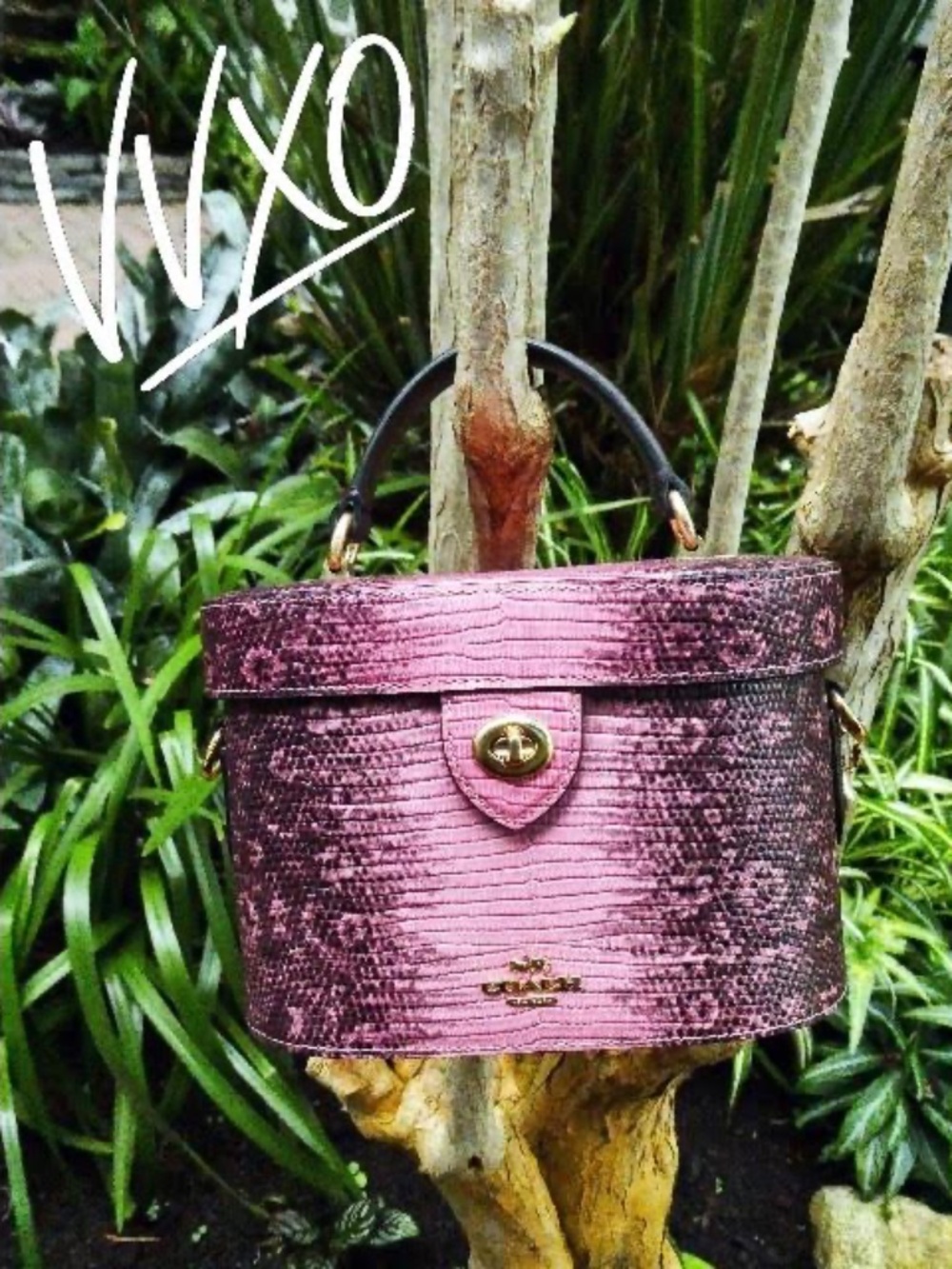 COACH Women's mauve pink purple Lizard-Embossed Top Handle Bag